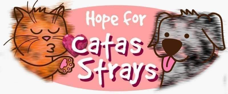 Hope for Catas Strays