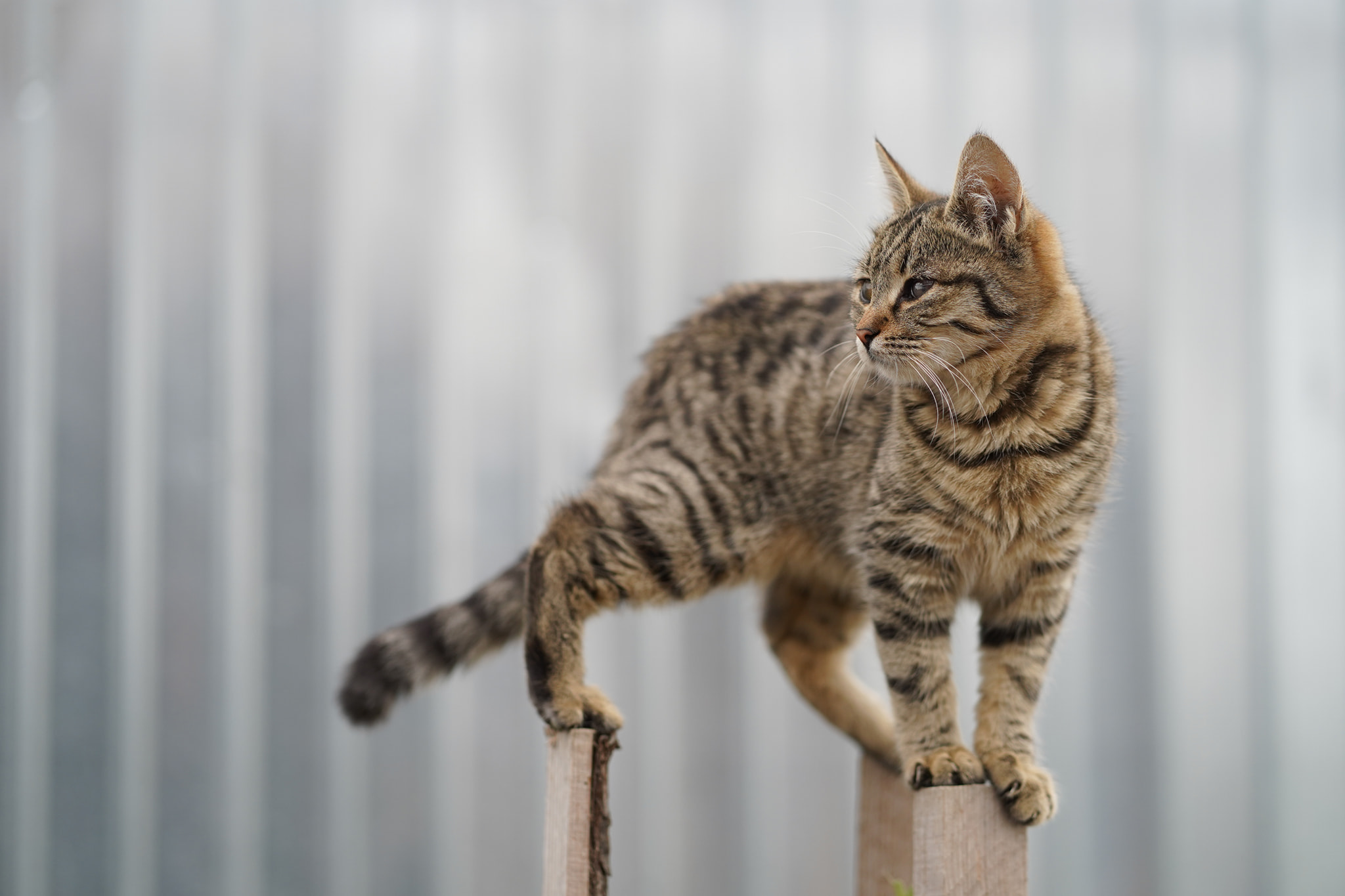 480652525_9368269666549973_3428919062494745692_n