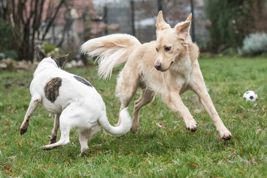 494678937_9754665027910433_7961231773197576301_n