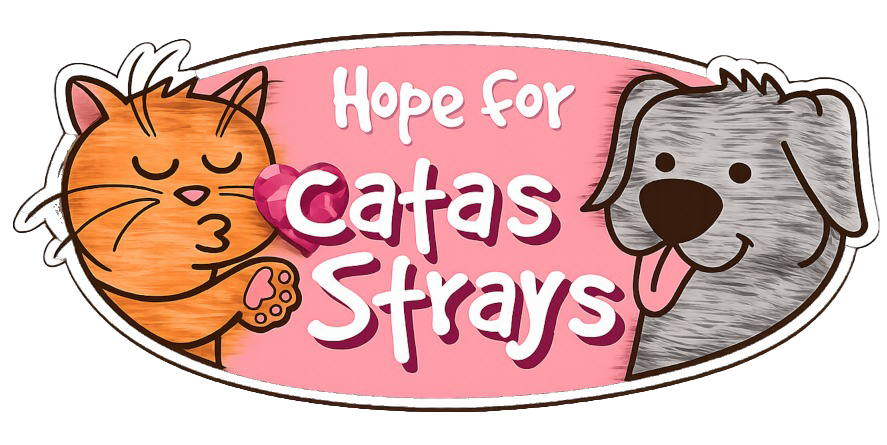 Hope for Catas Strays Germany e.V.
