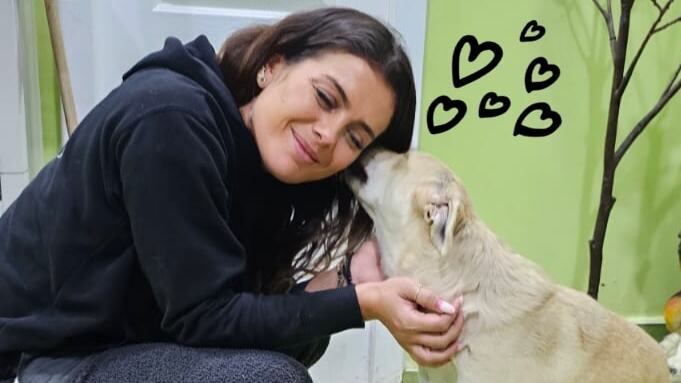 2 Bild Wwt 6