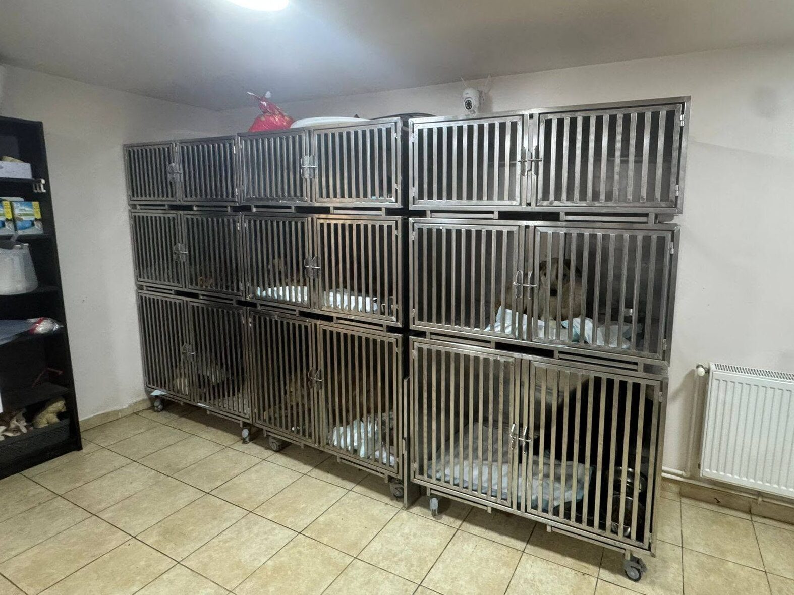 Tierboxen für unsere Klinik